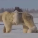 Фотография от Александр Добреля