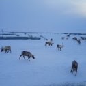 Фотография от Муратбек Каримов