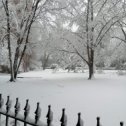 Фотография "Снег сегодня "