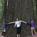 Фотография "Avenue of the Giants, California"