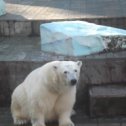 Фотография от данил савонин