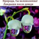 Фотография от Ирина Руттер