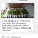 Фотография от Инна Хризантемы