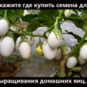 Фотография от Владимир Хромов