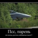 Фотография "Ну-с, превышаем! http://www.odnoklassniki.ru/game/crisis?sm_type=viral&sm_st1=photo&sm_st2=aircraft_1"