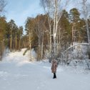 Фотография "Всем привет! Делюсь  хорошим зимним настроением"