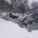 Фотография от Надежда Колодиева