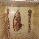 Фотография "Мыши мутанты в холодильнике повесились"