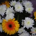 Фотография "Мои подарочные цветы)))Очень вовремя,к маминому дню рождения!"