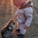 Фотография "Мы с Тамарой, т.е. с Баксом ходим парой🤦‍♀️"