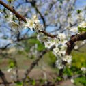 Фотография от Агния Степанченко (Воронченко)