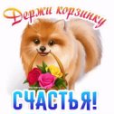 Фотография от Михаил Кох