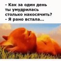 Фотография от Сашка Иванов