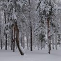 Фотография от Гузель Иванова