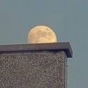 Фотография "Луна присела отдохнуть на крыше 😁"