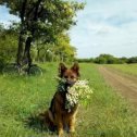 Фотография от Валентина Тарайковская (Павлович)