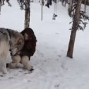 Фотография "даже такие суровые умеют целоваться"