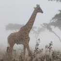 Фотография от Андрей Самсонов