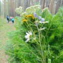 Фотография от Александра Орлова(Осипова)