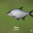 Фотография "https://ok.ru/game/trophyfishing2?124542 Лещ, Карповые, 0.148kg, Волга, База Волга, TF-500, Хлеб.  #Лещ #Карповые #Волга #База Волга #Хлеб #trophy #fishing #fish #трофейная #рыбалка #рыба"