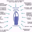 Фотография от Дыхательный тренажер Букина ТУИ