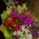 Фотография "У Мамы сегодня день рождения эти цветы все ей "