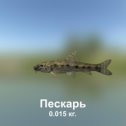 Фотография "https://ok.ru/game/trophyfishing2?227186 Пескарь, Карповые, 0.015kg, Волга, База Волга, TF-500, Хлеб.  #Пескарь #Карповые #Волга #База Волга #Хлеб #trophy #fishing #fish #трофейная #рыбалка #рыба"