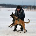 Фотография "ВП Клир Рождественский тренинг"