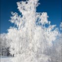 Фотография от Владимир Ворожцов