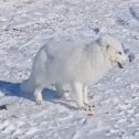 Фотография от Юрий Брызгалов