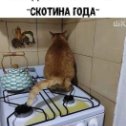 Фотография от Сергей Кочергин