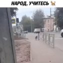 Фотография от Владимир Борзенков