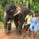 Фотография "Пытаюсь встать со слоном. Боюсь. А впрочем мне страшно и с коровой-то рядом встать..."