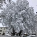 Фотография "И к нам опять пришла зима"