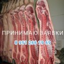 Фотография от Свинина у МАРИНЫ 89512661969 Курган