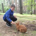 Фотография от Психолог-Наталья Чистякова