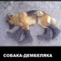 Фотография "Щедрый прапорщик... http://www.odnoklassniki.ru/game/crisis?sm_type=viral&sm_st1=photo&sm_st2=turtle"