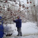 Фотография от Любовь Воронцова