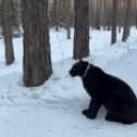 Фотография от Владимир Горелов