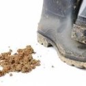 Фотография "Невероятно! Почва одного из французских виноградников настолько ценна, что работники обязаны чистить свою обувь на выходе.  
Все самое интересное здесь --> http://odnoklassniki.ru/game/ywnb?fromalbum"