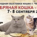 Фотография от Катерина питомник MAXICAT