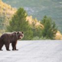 Фотография от Евгений Радченко