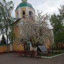 Фотография "Вербное  воскресенье"