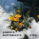 Фотография от АЛЕКСАНДР ДОСТОВАЛОВ