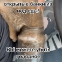 Фотография от Светлая дочь Лотоса