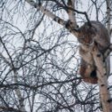 Фотография от Сергей Пожарский