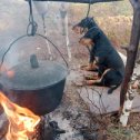 Фотография от владимир кожевников