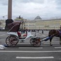 Фотография "а эт я в Питере) я в белом!"