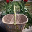 Фотография "Весна!!!!🦅🌼🌿 #пятигорск 🌿#весна2020 🌿#плетениеизбумажнойлозыназаказ #порядоквдоме #дом #домашнийуют #градмастеровкмв"