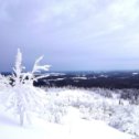 Фотография от Елена Поплавская (Филимонова)